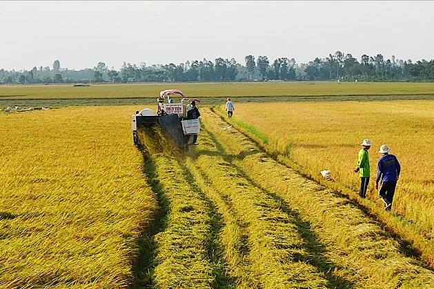 Quy định về sử dụng đất để xây dựng công trình phục vụ nông nghiệp và hạn mức giao, nhận chuyển nhượng đất nông nghiệp