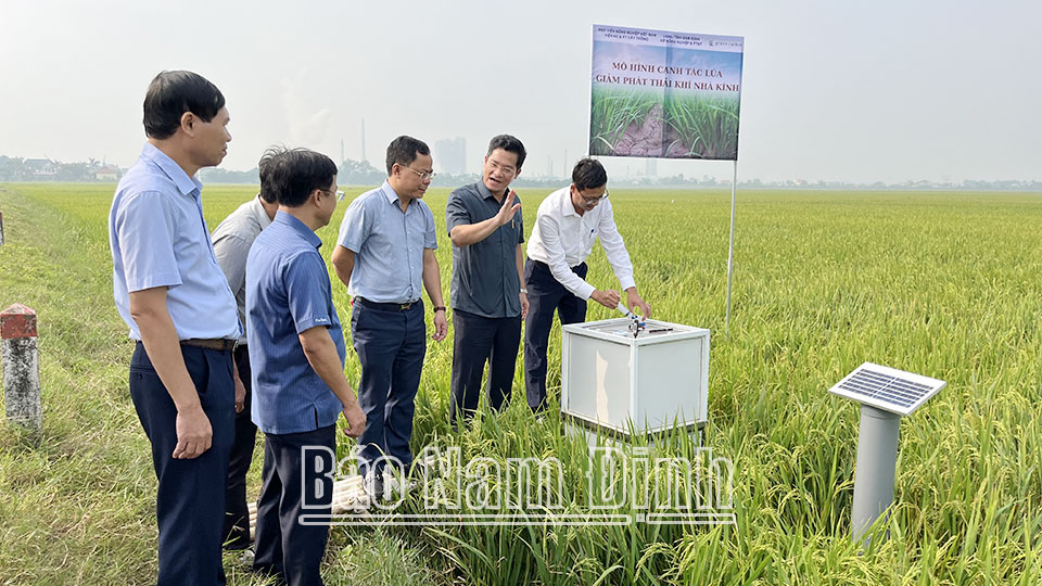 Cơ hội từ mô hình tưới “Ướt khô xen kẽ"
tạo tín chỉ carbon trong canh tác lúa bền vững