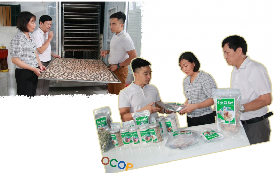 Công ty cổ phần nông nghiệp VIAGRI xã Trực Chính (Trực Ninh) có 2 sản phẩm được công nhận OCOP gồm trà củ sen và tinh bột củ sen.