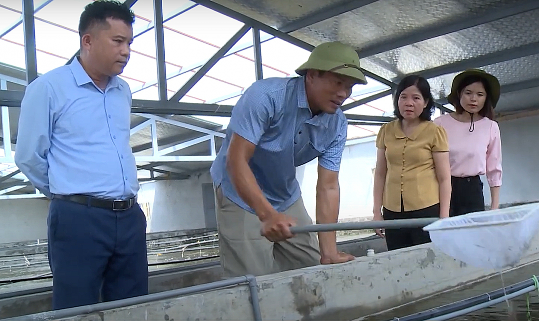 Đoàn công tác của lãnh đạo huyện Giao Thủy thăm mô hình nuôi tôm cho thu nhập cao của hộ gia đình anh Trần Văn Thủy.

