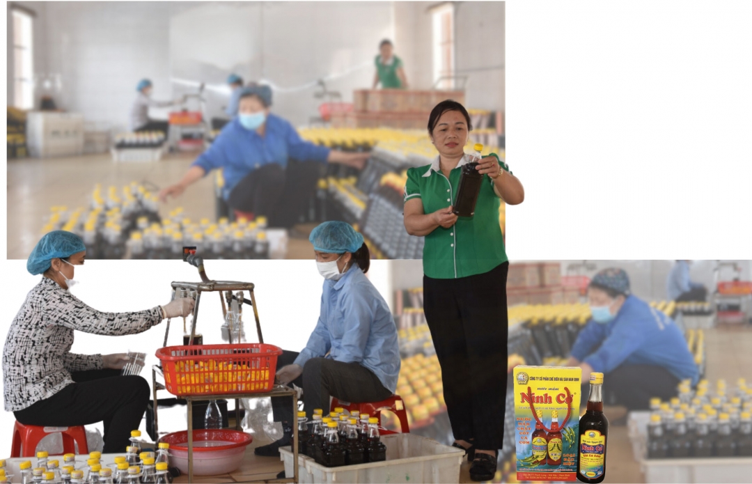 Sản phẩm nước mắm Ninh Cơ của Công ty Cổ phần Chế biến hải sản Nam Định, thị trấn Thịnh Long (Hải Hậu) được công nhận sản phẩm OCOP 3 sao.