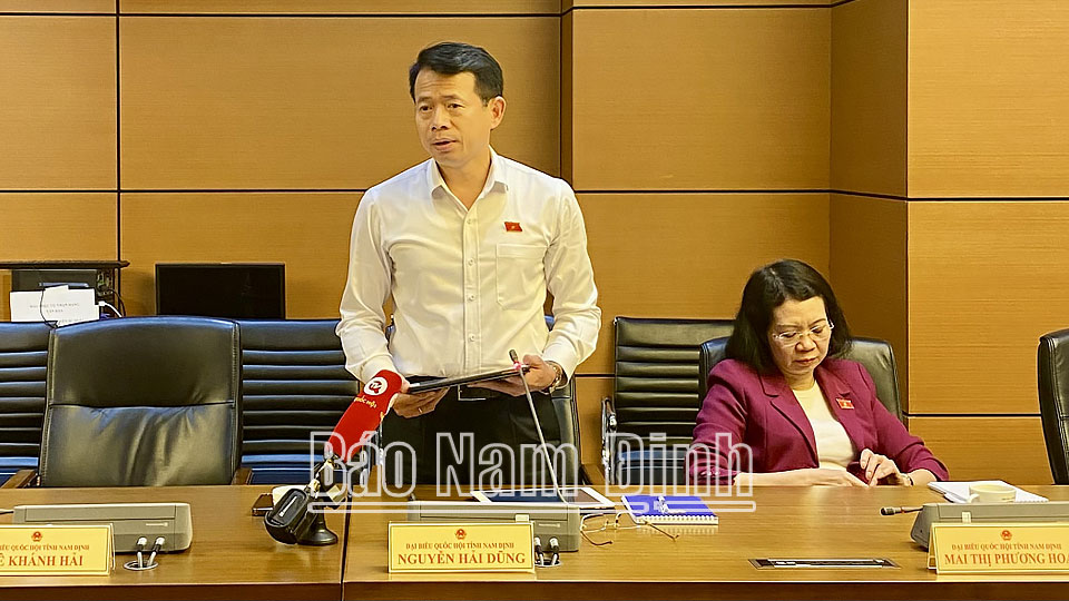 Đồng chí Nguyễn Hải Dũng, TUV, Phó trưởng đoàn chuyên trách Đoàn ĐBQH tỉnh phát biểu tại phiên thảo luận tổ.