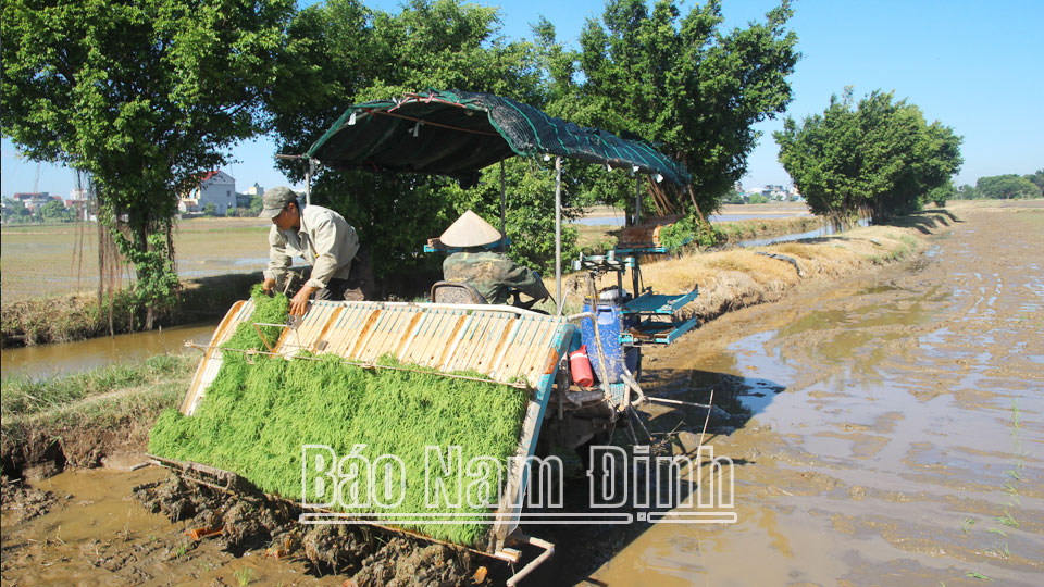 Nông dân xã Nam Tiến ứng dụng mô hình máy cấy gieo mạ khay vào sản xuất nông nghiệp.