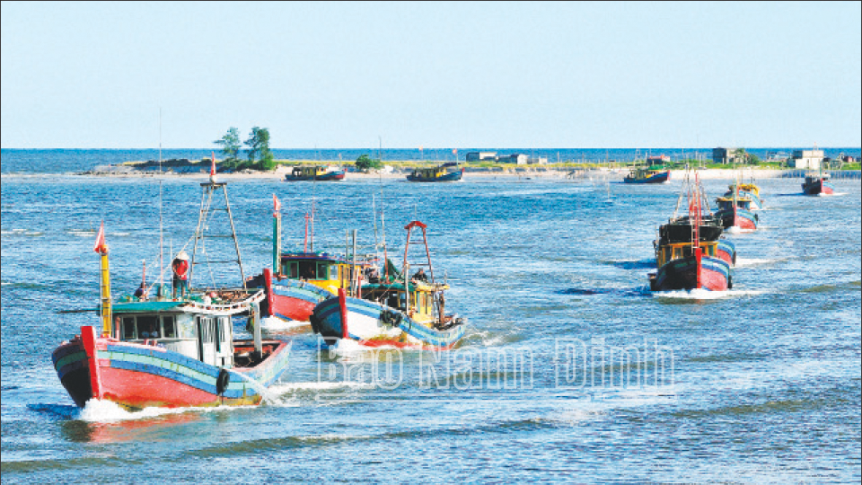 Xử lý dứt điểm tàu cá "3 không" hoàn thành trước ngày 20/11/2024