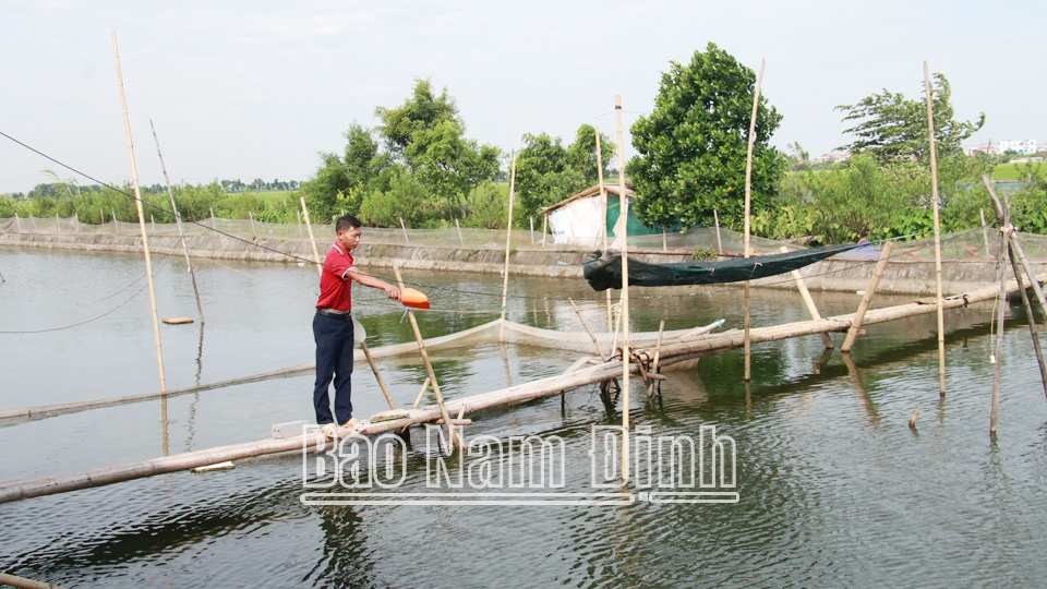 Những nông dân
sản xuất, kinh doanh giỏi