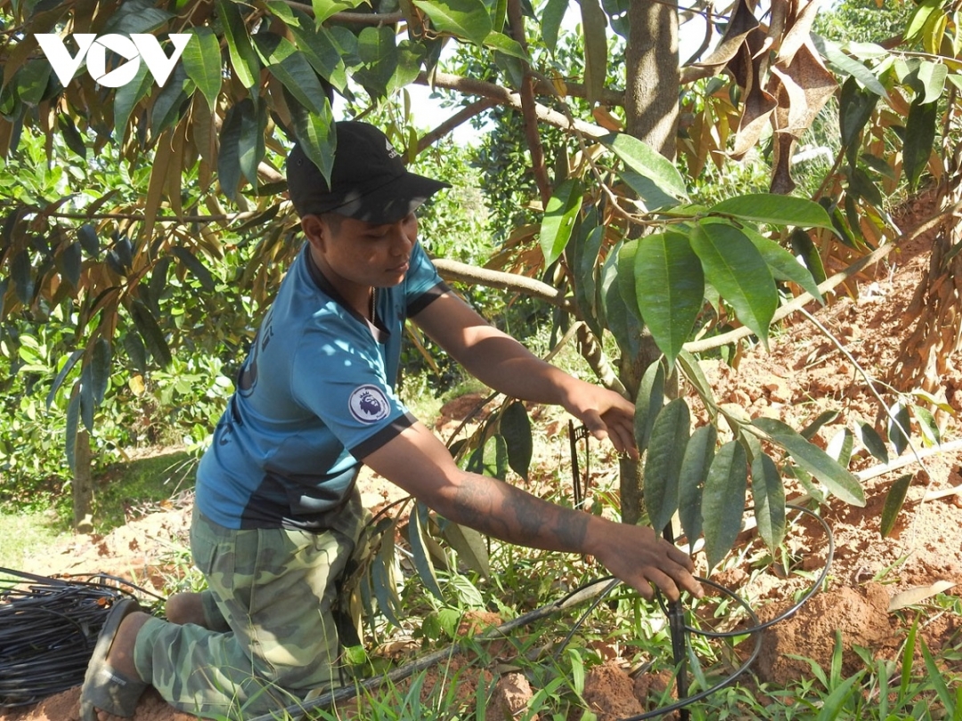 Kon Tum: Đưa khoa học, công nghệ về làng giúp nông dân thoát nghèo