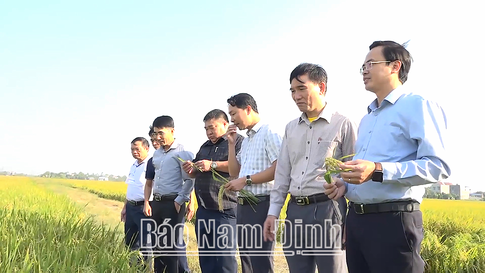 Lãnh đạo huyện Mỹ Lộc kiểm tra sản xuất tại xã Mỹ Thành.