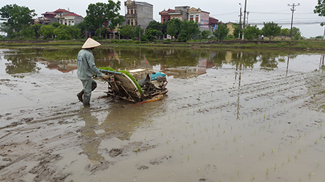 Quy trình làm mạ khay, cấy máy