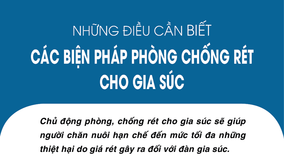 Các biện pháp phòng chống rét cho gia súc