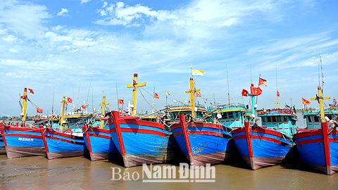 Cảng cá Thành Vui được phép tiếp nhận tàu cá hoạt động
từ vùng khơi trở ra 