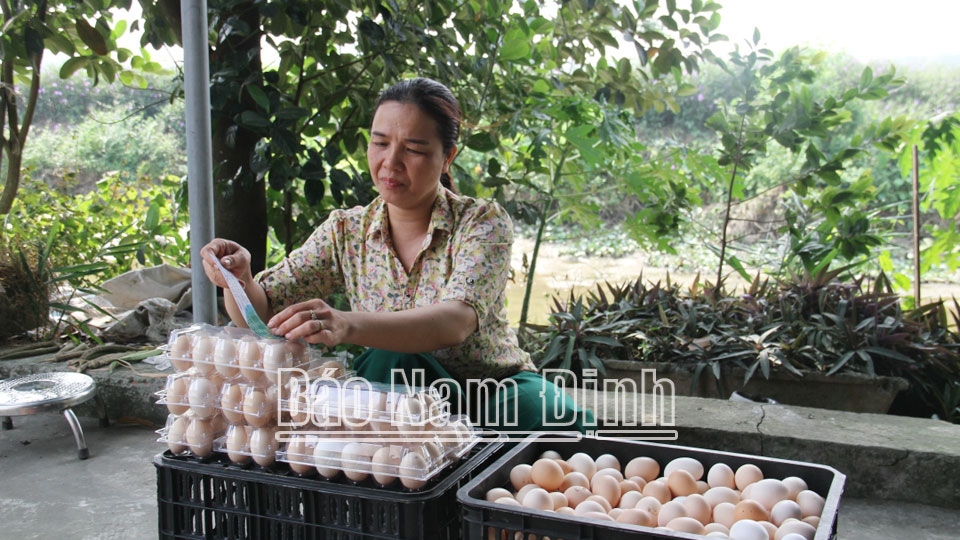 Đóng gói sản phẩm OCOP tại Trang trại chăn nuôi của gia đình anh Vũ Đình Chiên thôn Hồ Sen, xã Vĩnh Hào (Vụ Bản) ĐT 