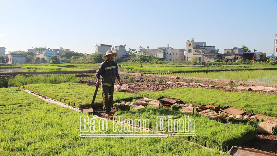 Đảng bộ xã Trực Nội
tập trung lãnh đạo phát triển kinh tế - xã hội