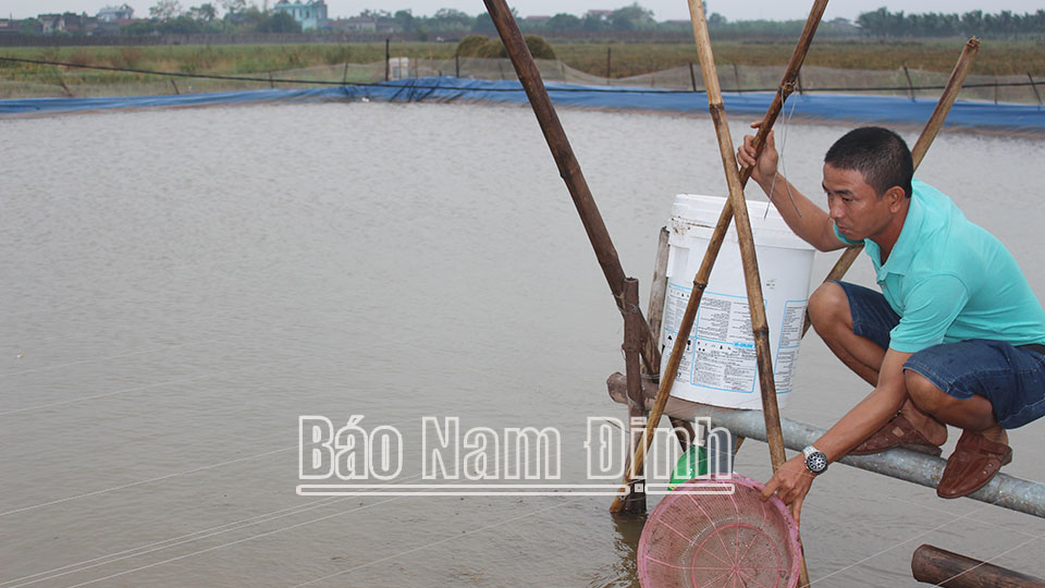 Nông dân Nguyễn Văn Thỉnh, ở thị trấn Quỹ Nhất, nuôi cá chạch đồng kết hợp chế biến “Cá chạch kho niêu” được công nhận là sản phẩm OCOP.