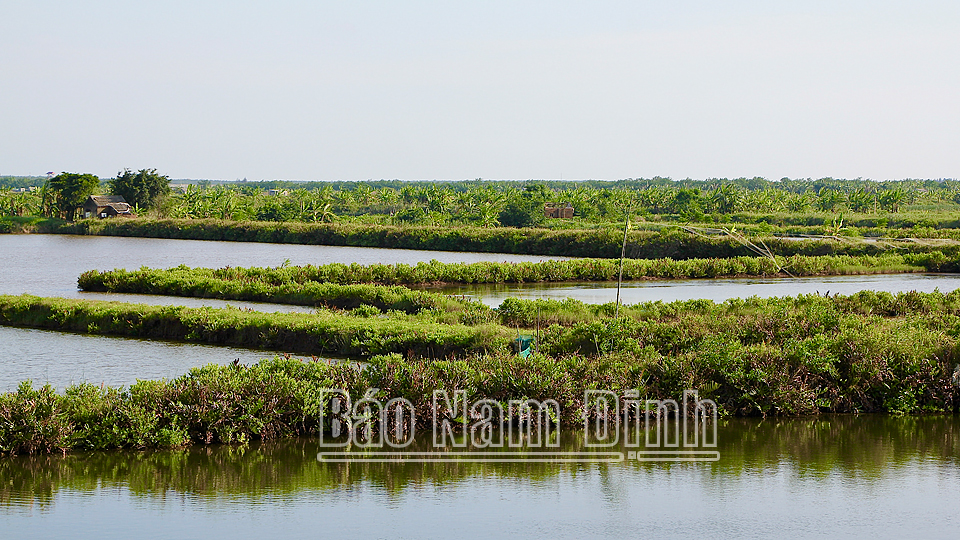 UBND huyện Nghĩa Hưng ban hành quyết định thu hồi hơn 21 nghìn m² đất khu vực Cồn Xanh do vi phạm pháp luật về đất đai