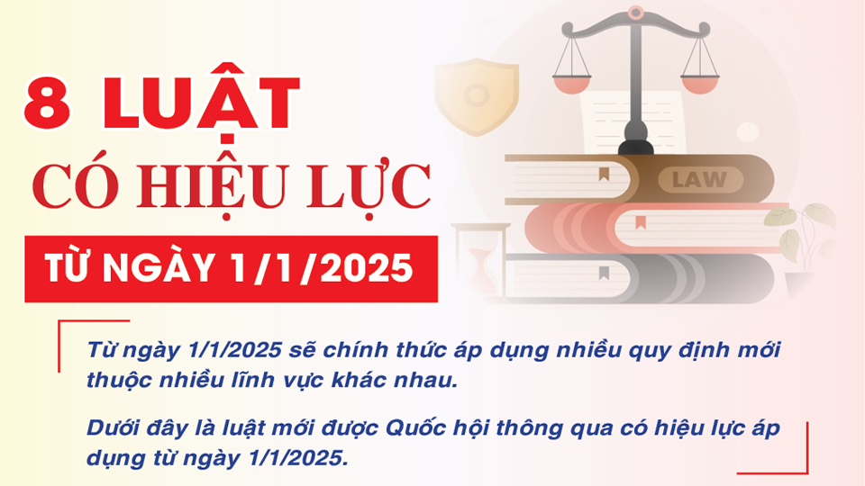 8 luật có hiệu lực từ ngày 1/1/2025