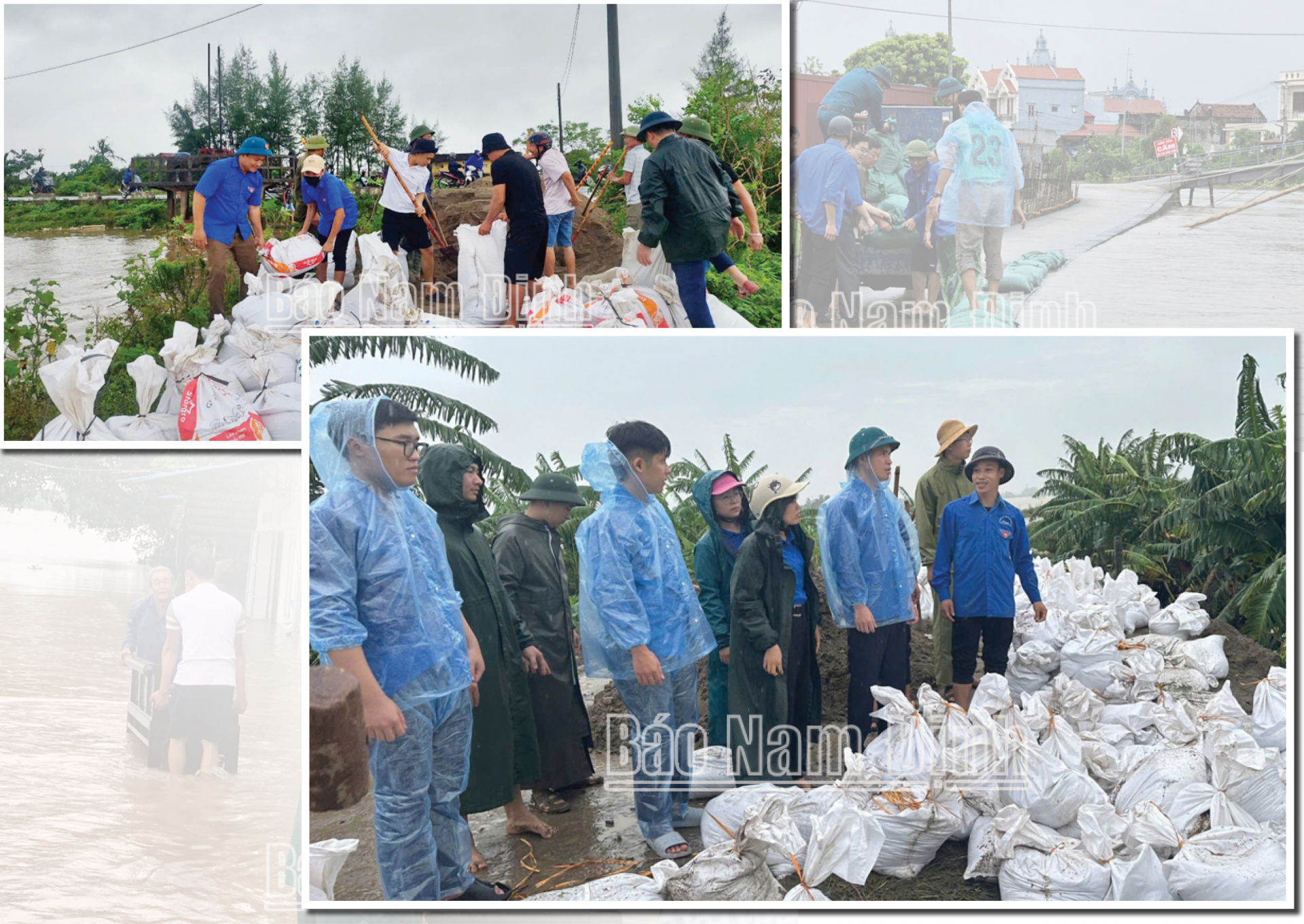 Đoàn viên, thanh niên toàn tỉnh chung tay giúp nhân dân khắc phục hậu quả thiên tai sau cơn bão số 3.