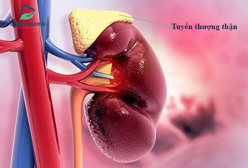 Sức khỏe và Đời sống: Biến chứng suy tuyến thượng thận
do lạm dụng thuốc chứa corticoid