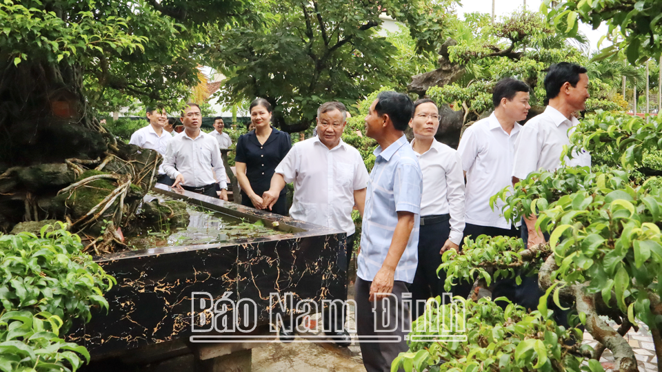 Nông dân Trực Ninh
thi đua sản xuất, kinh doanh giỏi