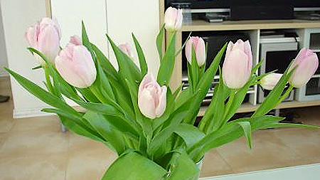 Cách giữ cho hoa tươi lâu ngày Tết