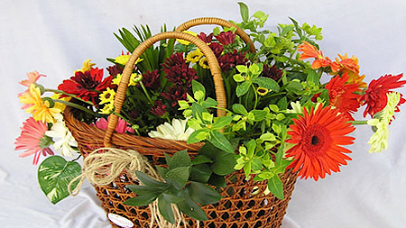 Chưng hoa ngày Tết