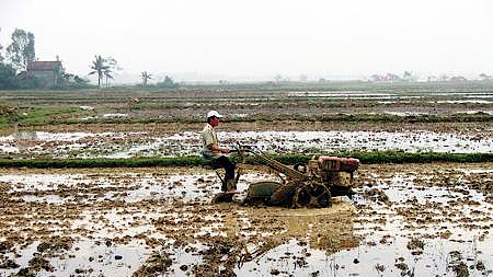 Triển khai các nhiệm vụ sản xuất nông nghiệp trong dịp Tết Giáp Ngọ