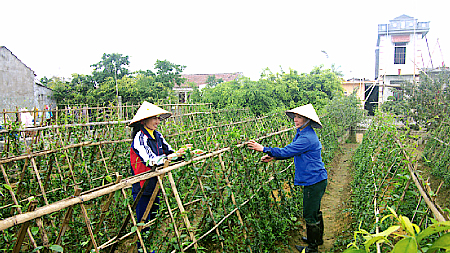 Để kinh tế hợp tác, HTX của tỉnh tiếp tục khẳng định vị thế trong cơ chế thị trường