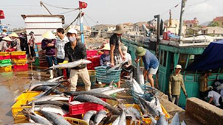 Đề xuất cơ chế mới phù hợp với phương hướng phát triển của ngành thủy sản