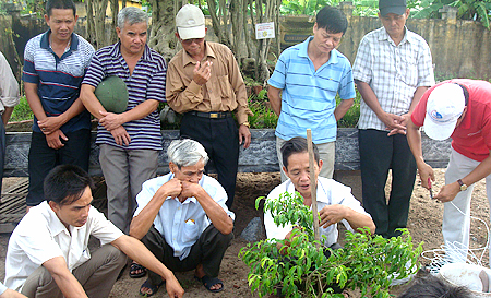 Thành phố Nam Định đẩy mạnh dạy nghề cho lao động hộ cận nghèo, bộ đội xuất ngũ