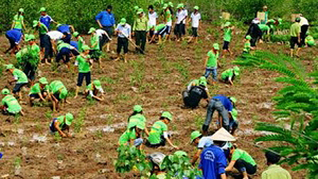 Bảo vệ và phát triển rừng ven biển ứng phó với biến đổi khí hậu