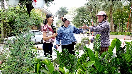 Đường hoa