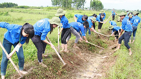 Tỉnh Đoàn phối hợp với Đoàn Thanh niên Bộ GTVT  tổ chức hoạt động tình nguyện