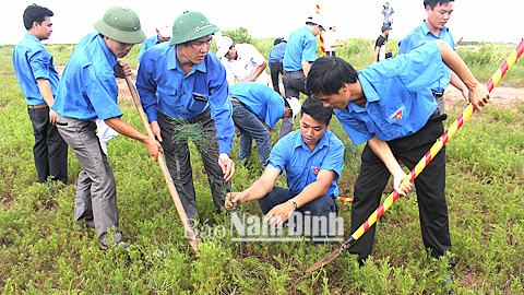 Phát huy vai trò của tổ chức Đoàn trong công tác bồi dưỡng, tạo nguồn phát triển đảng viên