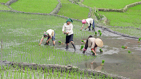 Dự báo thời tiết, thủy văn đêm 20-7-2014 ngày 21-7-2014 tỉnh Nam Định