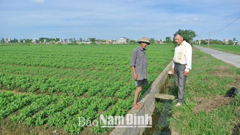 Ý Yên đầu tư phát triển hạ tầng giao thông, thủy lợi phục vụ sản xuất nông nghiệp