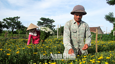 Đảng bộ xã Nam Phong quan tâm công tác tạo nguồn, phát triển Đảng