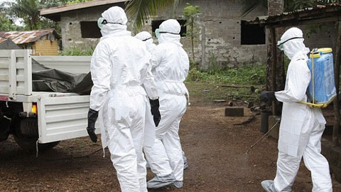 Tìm ra tung tích đại dịch Ebola