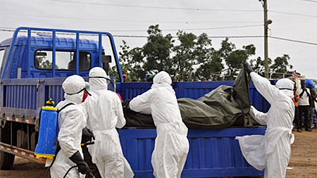 Số ca tử vong do Ebola lên tới 2.400 người