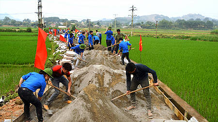 Đoàn Trường Cao đẳng Công nghiệp Nam Định với các hoạt động tình nguyện vì cuộc sống cộng đồng