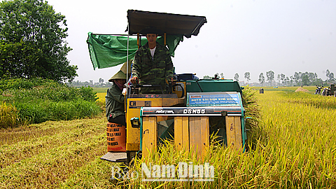 Bước đột phá trong phong trào nông dân thi đua sản xuất, kinh doanh giỏi ở tỉnh ta