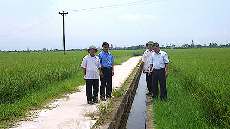 Chỉ thị của UBND tỉnh về việc Phát động chiến dịch làm thuỷ lợi nội đồng phục vụ sản xuất nông nghiệp