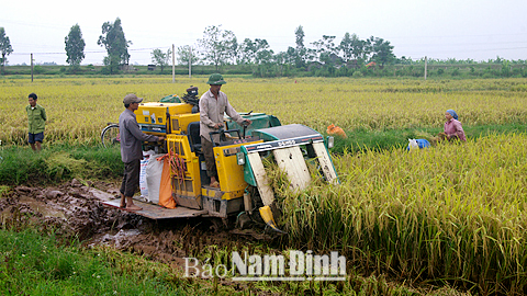 Xuân Trường tập trung các nguồn lực xây dựng cơ sở hạ tầng nông thôn mới