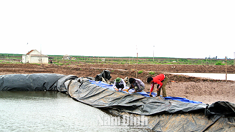 Chuẩn bị tốt các điều kiện cho vụ nuôi thủy sản 2015