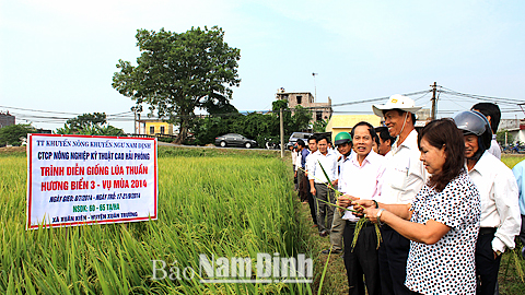 Đẩy mạnh công tác khuyến nông trong thực hiện tái cơ cấu ngành Nông nghiệp