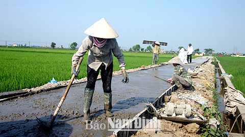 Hội Nông dân xã Yên Quang tích cực hỗ trợ nông dân giảm nghèo