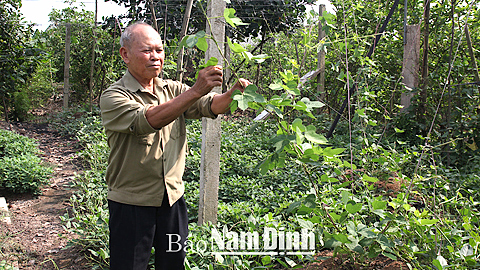 Phong trào thi đua &quot;Cựu chiến binh gương mẫu&quot; ở Mỹ Xá