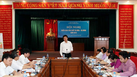 Triển khai sản xuất vụ mùa, vụ đông năm 2015