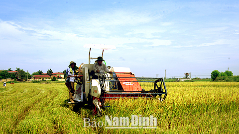 Những điển hình tiêu biểu trong phát triển kinh tế tập thể