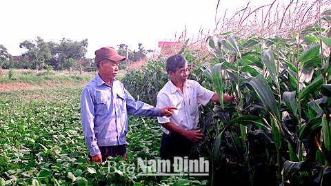 Nghị lực vượt khó làm giàu của một thương binh nặng