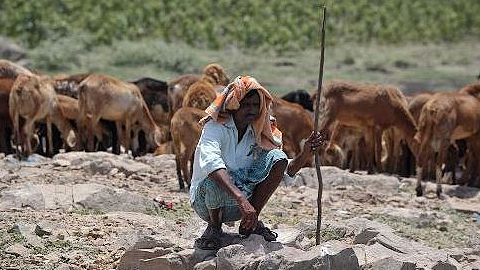 Nắng nóng 45 độ C ở Pa-kít-xtan, ít nhất 120 người thiệt mạng