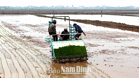 Đẩy mạnh cơ giới hóa trong sản xuất nông nghiệp